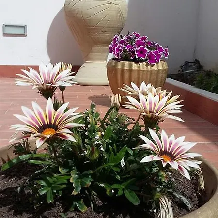 Vanity Salento *